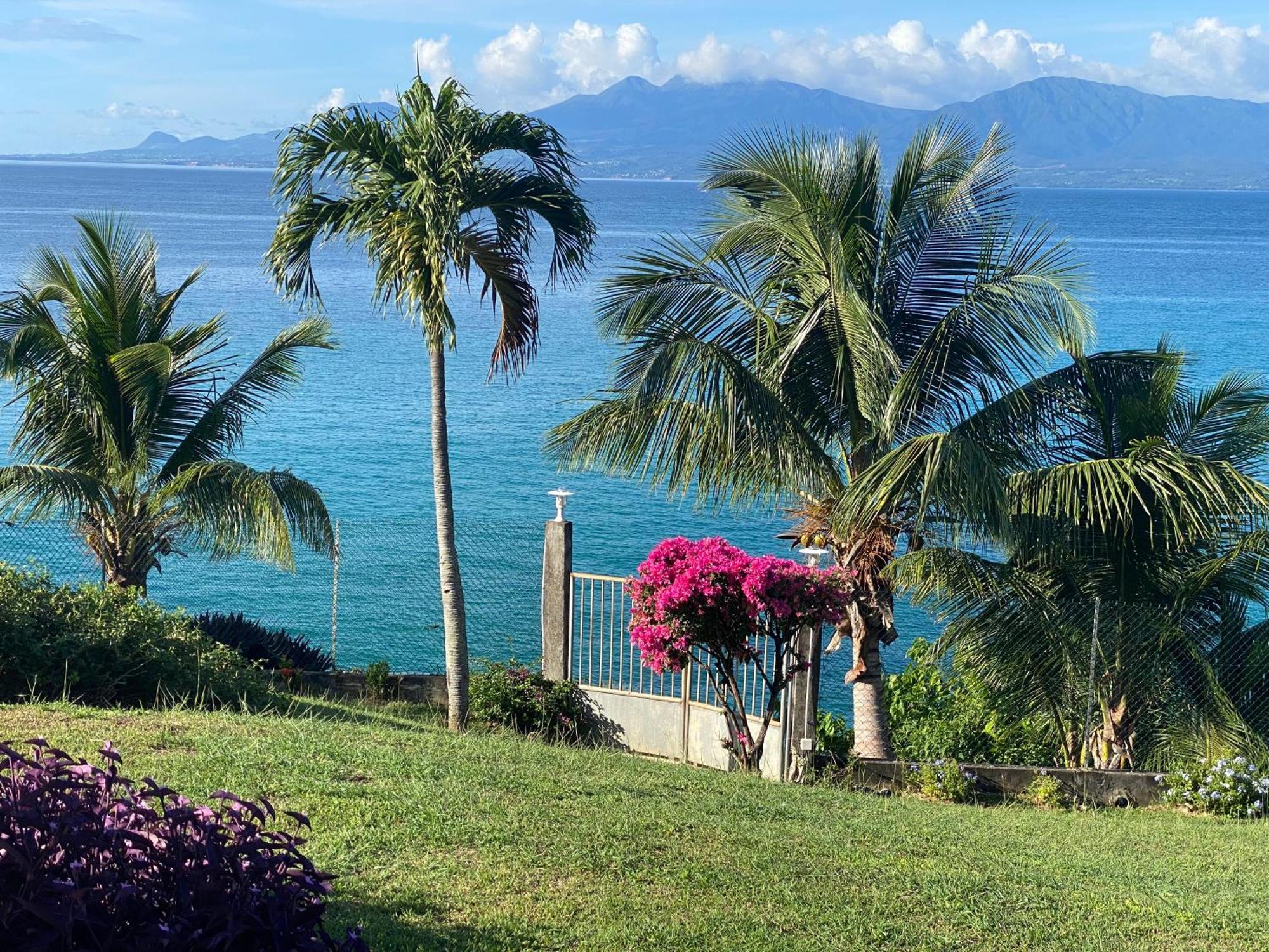 Promontoire Design Sur Mer Le Gosier  Esterno foto